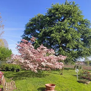 https://bb-il-melograno-lomazzo.it-lombardy.com