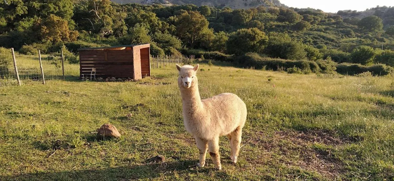 Agriturismo Bosco Pianetti Santuario di Gibilmanna 0*,  إيطاليا