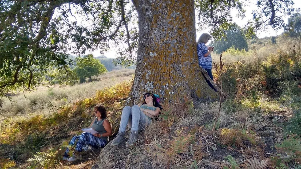 Agriturismo Bosco Pianetti Santuario di Gibilmanna إيطاليا