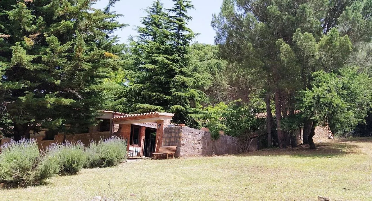 Agriturismo Bosco Pianetti Santuario di Gibilmanna 0*,