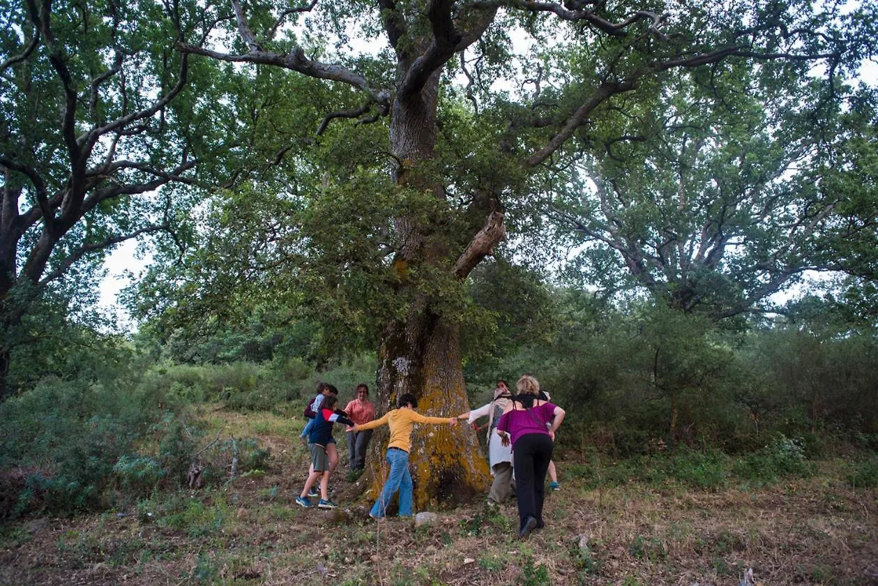 مزرعة للإقامة Agriturismo Bosco Pianetti Santuario di Gibilmanna