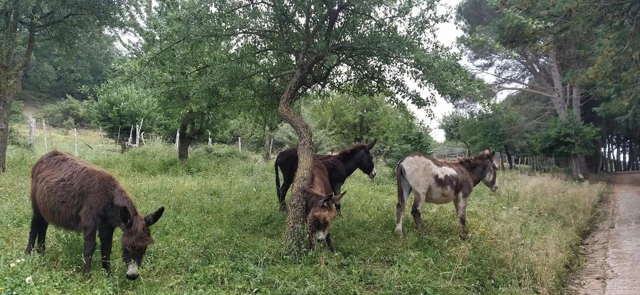 مزرعة للإقامة Agriturismo Bosco Pianetti Santuario di Gibilmanna إيطاليا