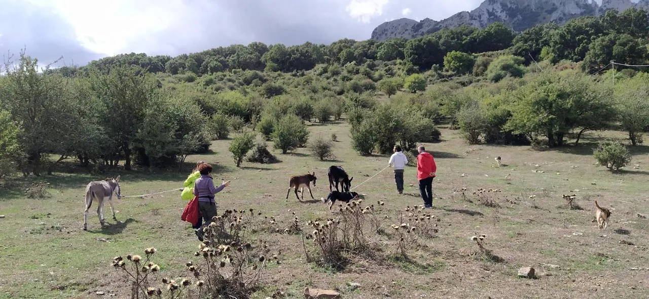 Agriturismo Bosco Pianetti Santuario di Gibilmanna مزرعة للإقامة