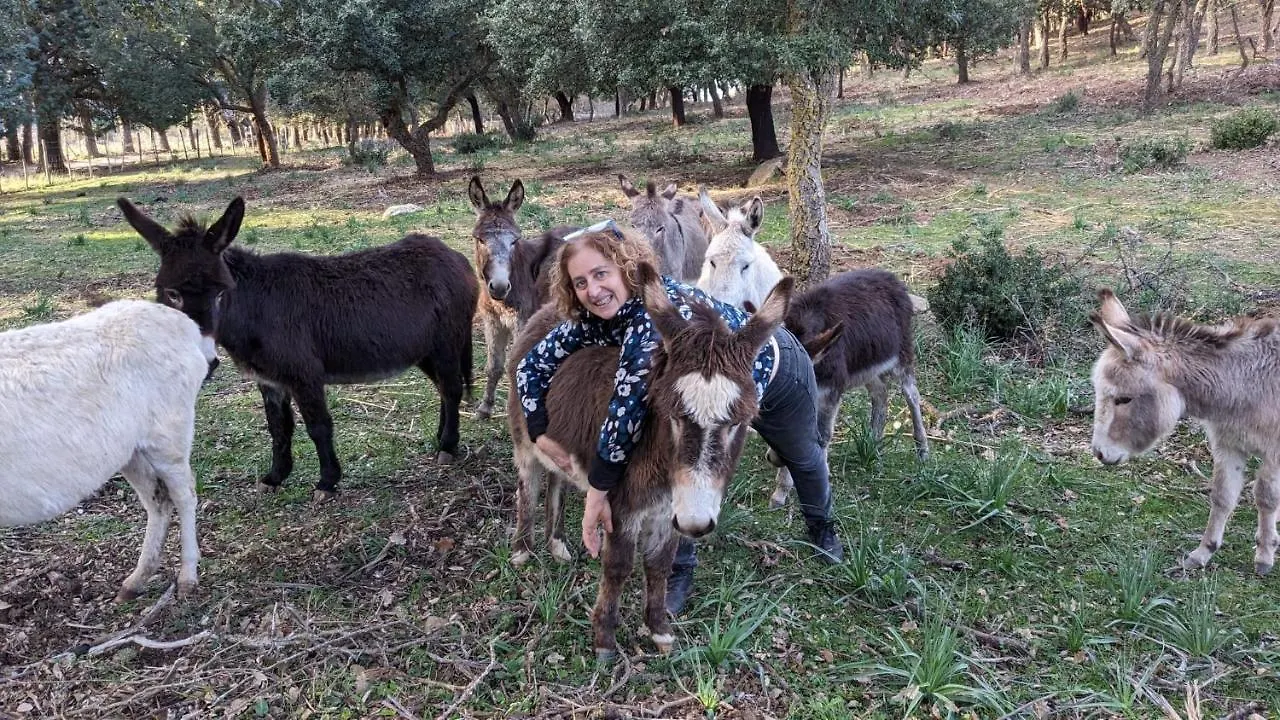 Agriturismo Bosco Pianetti Santuario di Gibilmanna 0*,  إيطاليا