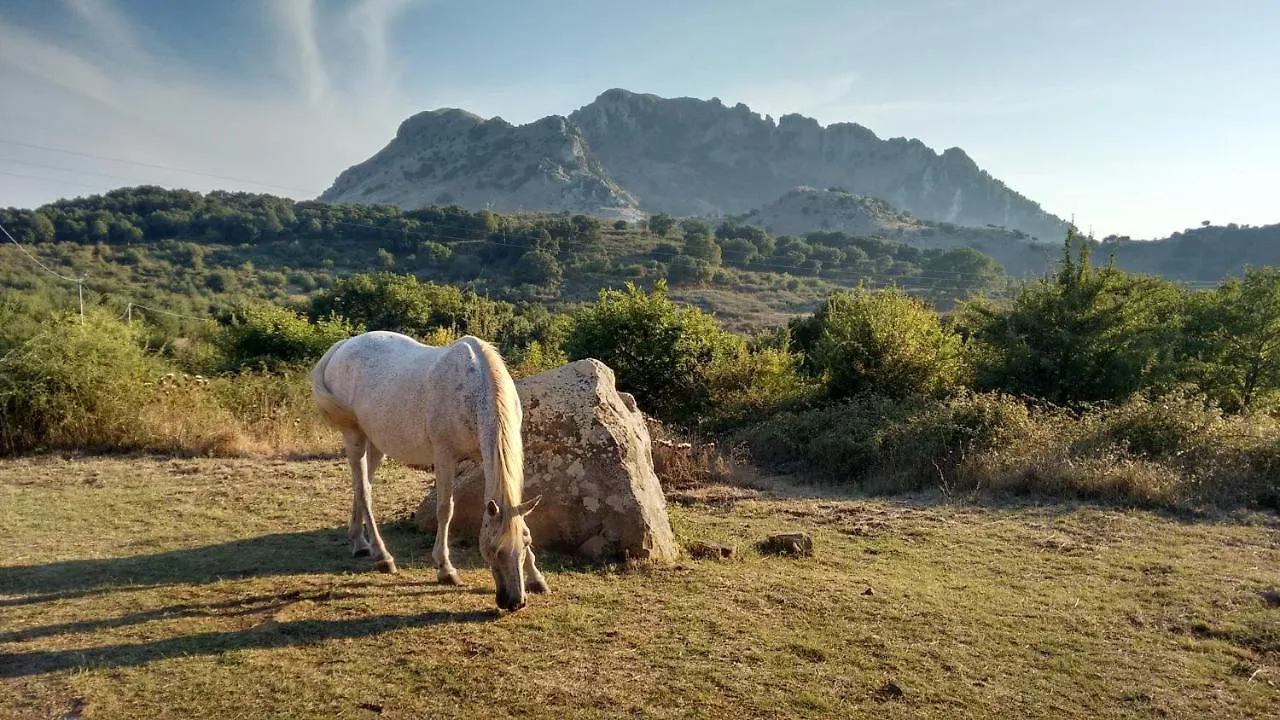 Agriturismo Bosco Pianetti Santuario di Gibilmanna مزرعة للإقامة