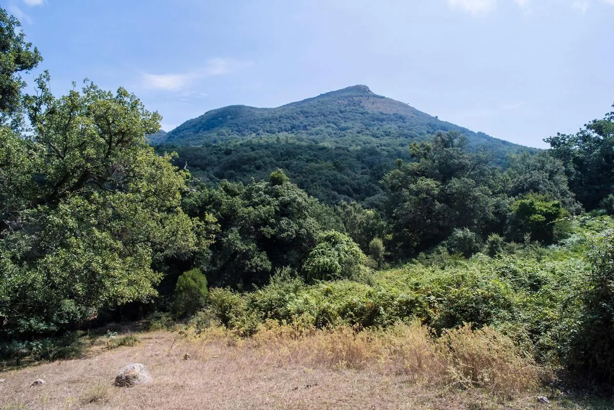 مزرعة للإقامة Agriturismo Bosco Pianetti Santuario di Gibilmanna