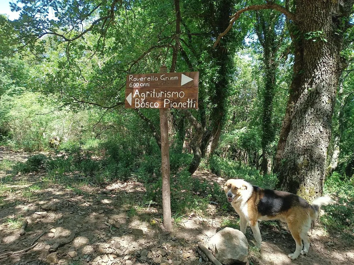 Agriturismo Bosco Pianetti Santuario di Gibilmanna 0*,  إيطاليا