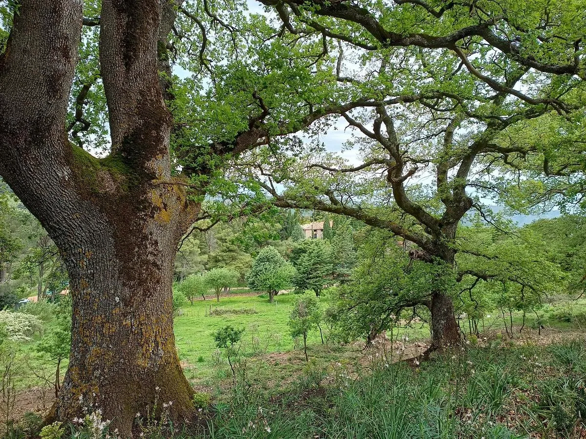 Farm stay Agriturismo Bosco Pianetti Santuario di Gibilmanna Italy