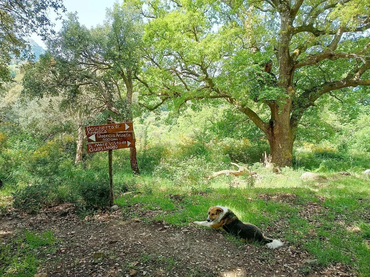 Agriturismo Bosco Pianetti Santuario di Gibilmanna