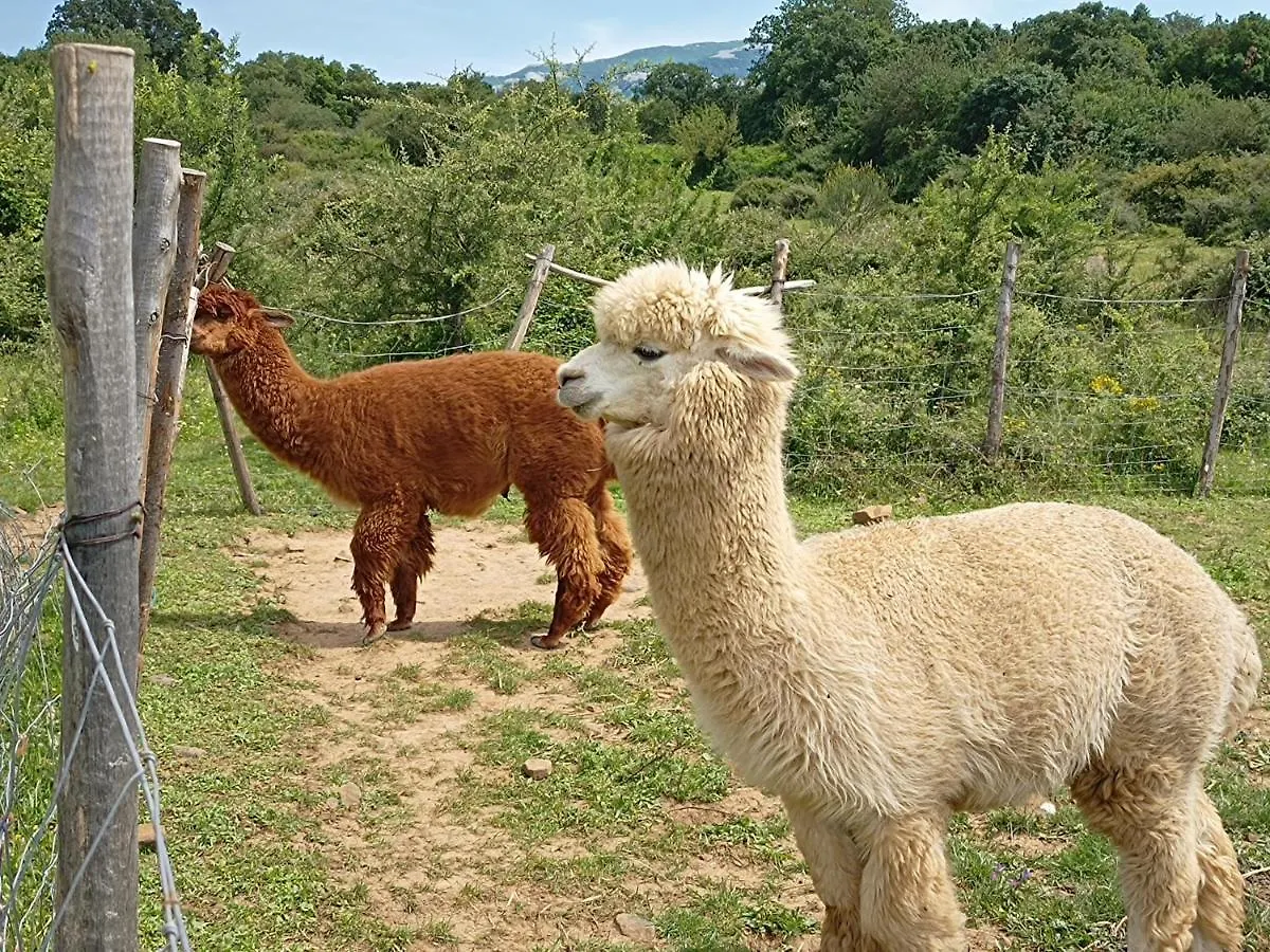 مزرعة للإقامة Agriturismo Bosco Pianetti Santuario di Gibilmanna