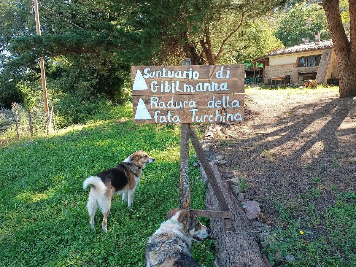 Agriturismo Bosco Pianetti Santuario di Gibilmanna 0*,