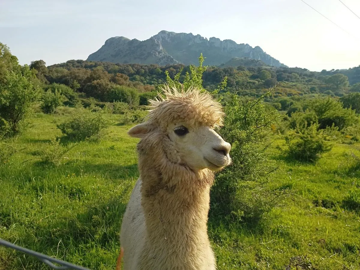 Agriturismo Bosco Pianetti Santuario di Gibilmanna
