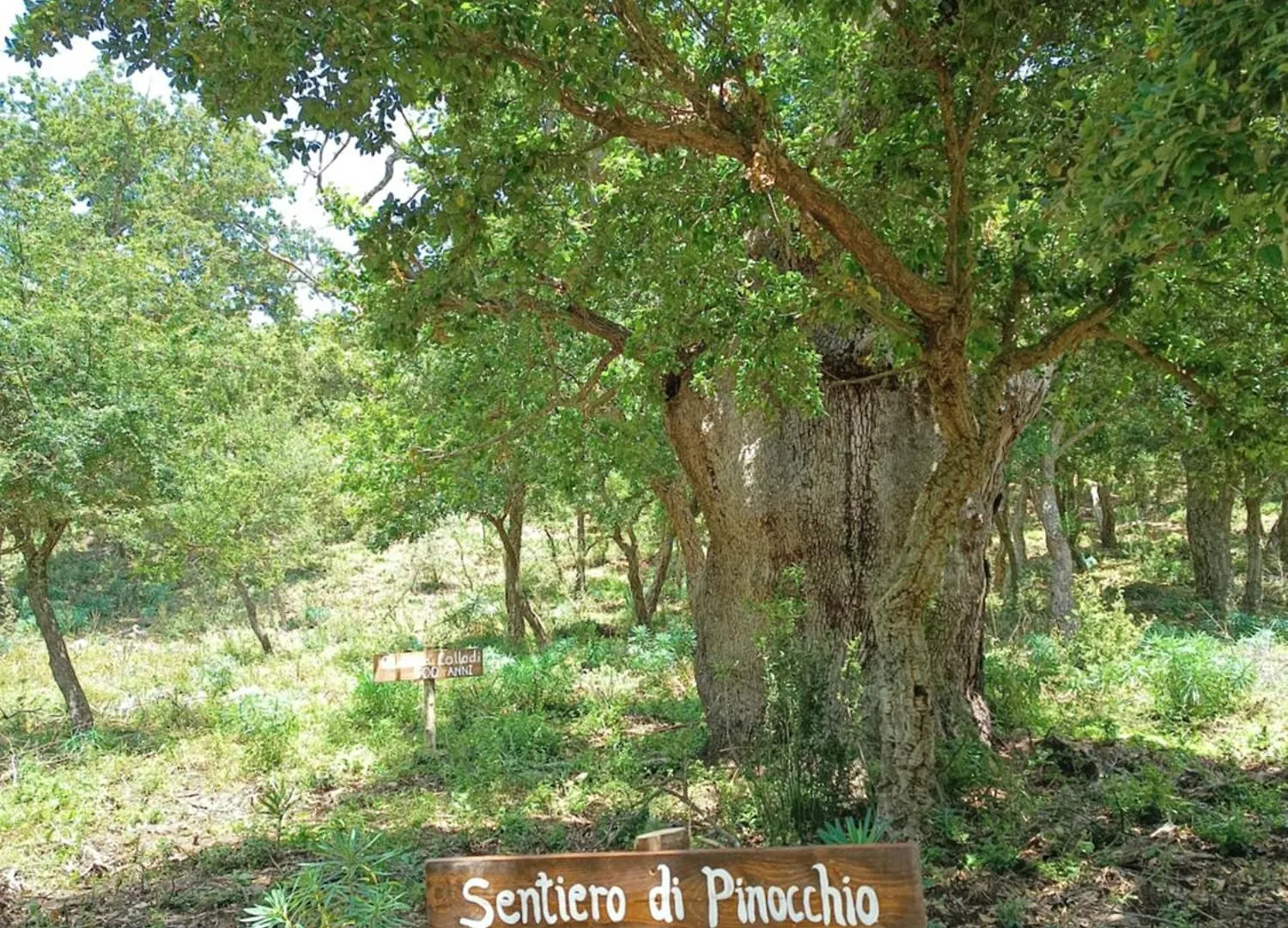 Agriturismo Bosco Pianetti Santuario di Gibilmanna مزرعة للإقامة