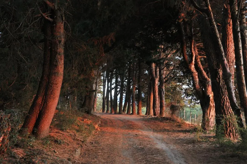 Agriturismo Bosco Pianetti Santuario di Gibilmanna 0*,