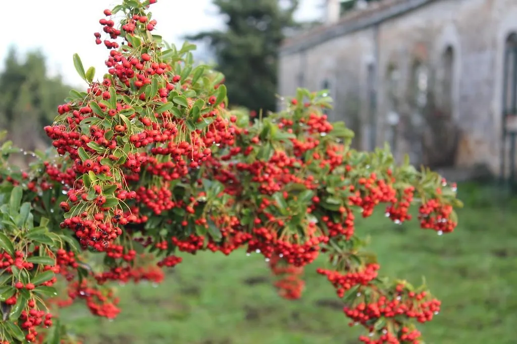 مزرعة للإقامة Agriturismo Bosco Pianetti Santuario di Gibilmanna