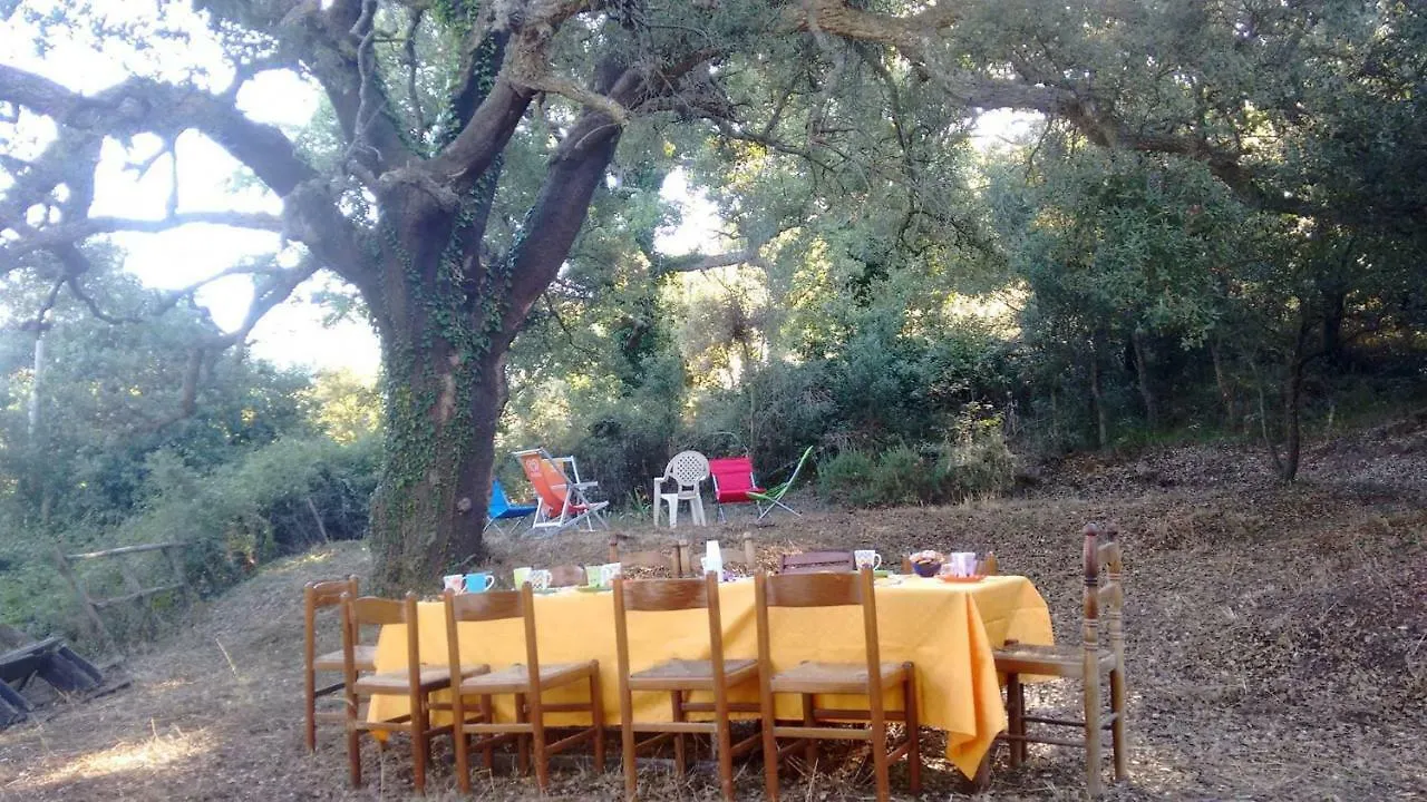 Agriturismo Bosco Pianetti Santuario di Gibilmanna