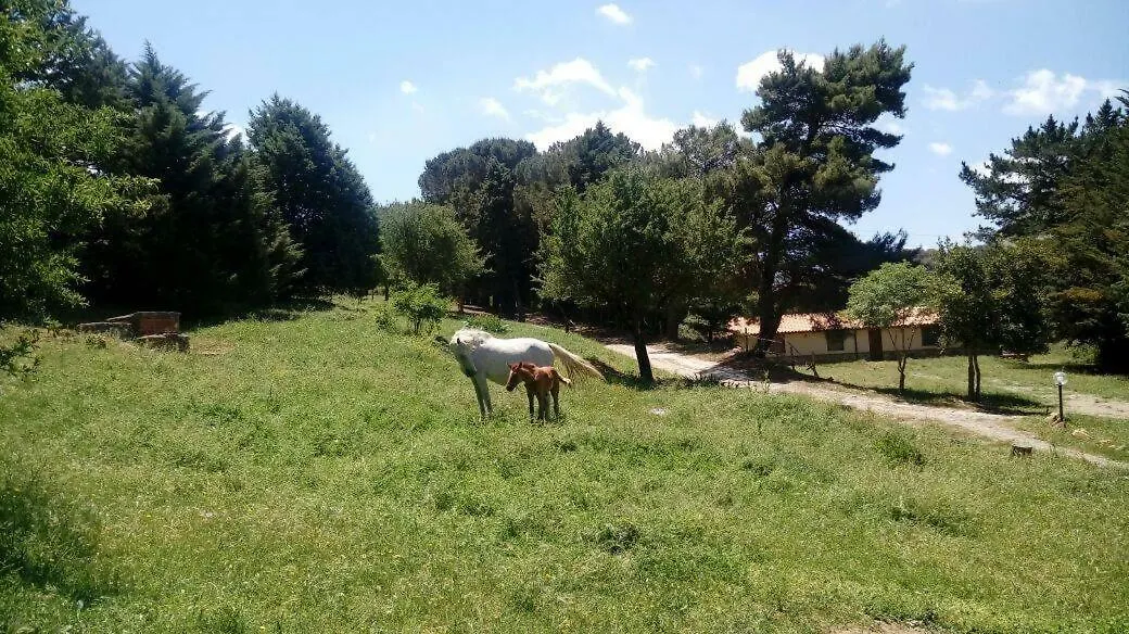 Agriturismo Bosco Pianetti location