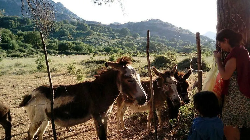 Agriturismo Bosco Pianetti Santuario di Gibilmanna إيطاليا