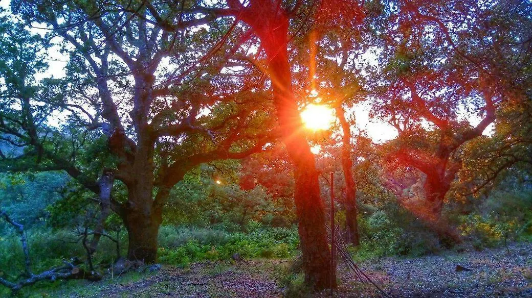 Agriturismo Bosco Pianetti Santuario di Gibilmanna 0*,  إيطاليا